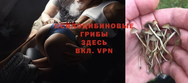 тгк Балабаново
